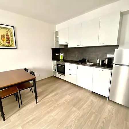 Two-room With Garage In The Center Apartment *