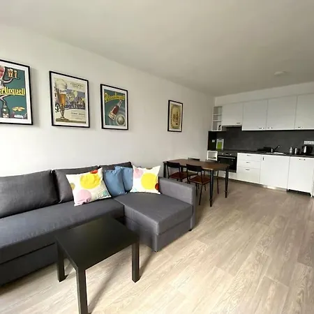Two-room With Garage In The Center * Plzen