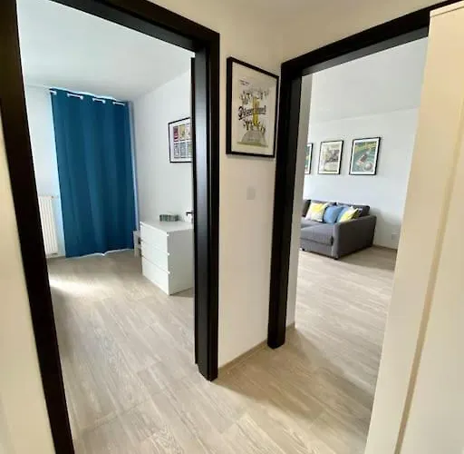 Two-room With Garage In The Center * 플젠