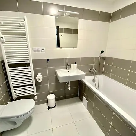 Two-room With Garage In The Center 比尔森